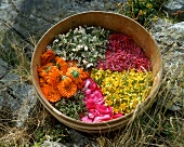 Herbs & flowers for drying in wooden bowl (perfumed pot pourri)