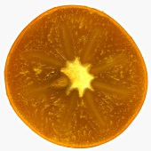 Slice of sharon fruit