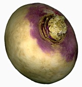 Turnip 