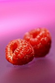 Two raspberries against pink background