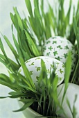 Painted eggs in Easter grass