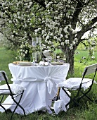 Table laid in white under flowering apple tree
