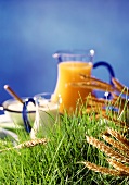 Healthy ingredients (quark, milk, juice, cereals) on grass