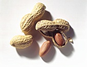 Peanuts with shells intact and opened