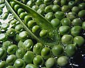 Opened pea pod and fresh green peas in water
