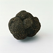 Black Perigord truffle