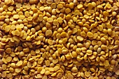 Tur dal (yellow lentils, India)