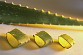 Slices of an Aloe vera shoot (Lily family, Liliaceae)