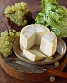 Chaource (soft cow's milk cheese, Aube, France)
