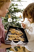 Boy holding out box of Christmas biscuits to girl
