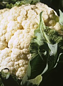 Fresh cauliflower