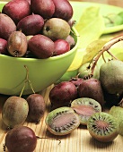 Actinidia (Actinidia colomicta, mini kiwi fruits)