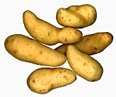 Sechs Kartoffeln der Sorte Ratte