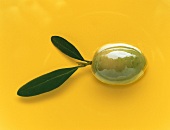 Eine Olive mit Olivenblättern auf gelbem Hintergrund