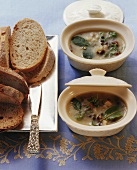 Goose rillettes with slices of bread