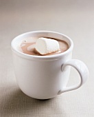 A cup of cocoa with marshmallow