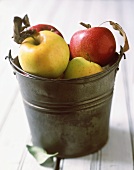 Several apples in a bucket