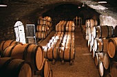 Wine cellar of top estate Comtes Lafon, Mersault, Burgundy