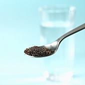 A spoonful of flea seed