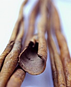 Several cinnamon sticks (close-up)