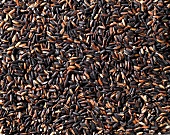 Black sticky rice (filling the picture)