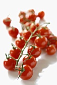 Several cherry tomatoes on the vine