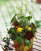 Table arrangement of red sunflowers and lemons