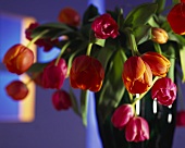 Bouquet of tulips, close-up