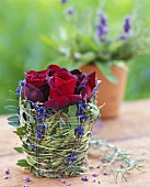 Arrangement of roses in terracotta pot wrapped in herbs & twigs