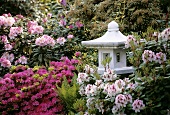 Small Asian pagoda surrounded by azaleas and rhododendrons