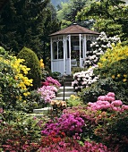 Luxuriant, old-English style garden with rhododendrons and azaleas on steps leading to a summer house