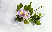 Pink roses on bridal veil