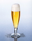 A glass of Pils with head of foam