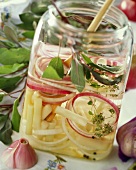 Scorzonera pickled with red onions and sage