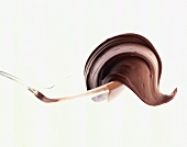 Nut and chocolate spread on a Plexiglas spoon