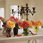 Roses on a ledge in front of a mirror