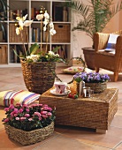 Room with cane furniture & house plants in wicker cache-pots
