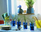 Four blue glasses with small bottle palms as table decoration