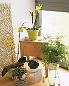 Flowery corner with yellow Phalaenopsis & Maiden hair fern