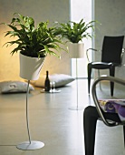 Green houseplants in stemmed planters in a cool, modern setting