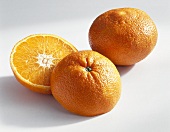 Ortanique (Kreuzung: Orange x Tangerine, Spanien)