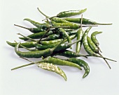 Chili peppers, variety ‘Hot green’ 