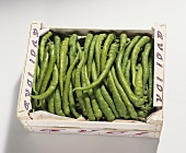 Green chili peppers in packaging, Turkey