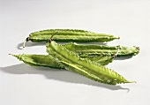 Goa beans (Psophocarpus tetragonolobus)