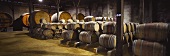 Keller, Viña Valdivieso, eines der ältesten Weingüter Chiles