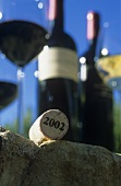 Einer der besten Weine Südafrikas 'Kevin Arnold Shiraz 2002'