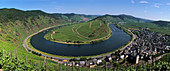 Bremm on the Mosel (Europe's steepest vineyard), Germany