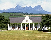 Meerlust Wine Estate near Helderberg, Stellenbosch, S. Africa