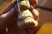 Hand holding Cremant de Bourgogne cork