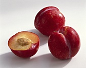 Plums (Prunus domestica), variety ‘Sapphire’ from S. Africa